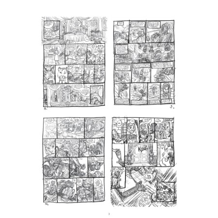 Les 5 Terres, les Storyboards du cycle d'Angleon